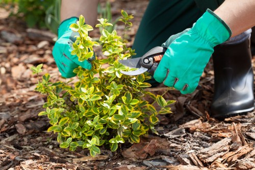 Satisfied customer enjoying their cleared garden
