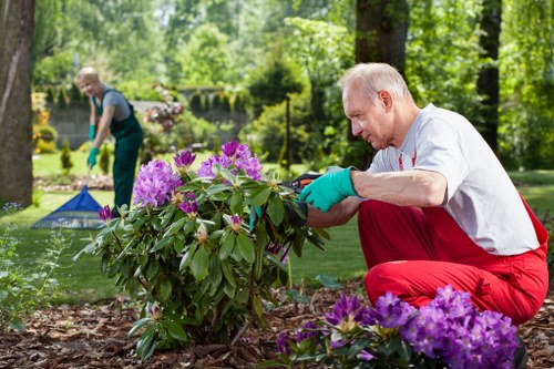 Professional landscaper planning garden layout in Blackheath