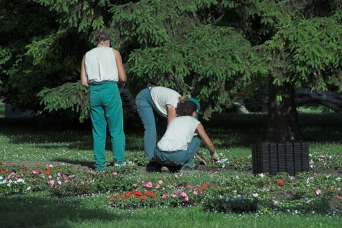 Environmental tree management practices