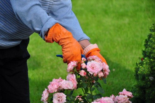 Eco-friendly hedge maintenance practices in Blackheath