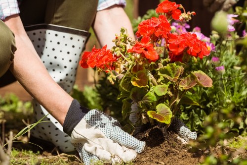Seasonal lawn maintenance activities in Blackheath